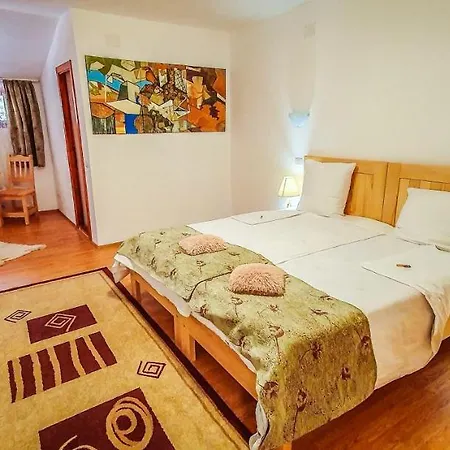 Conacul Sfanta Elena Guest house *