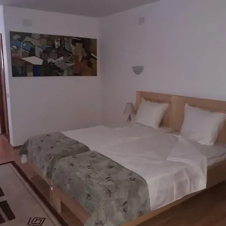 Conacul Sfanta Elena Guest house